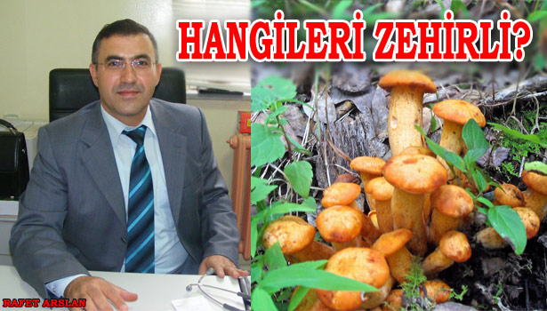 ALAPLI'DA MANTAR ZEHİRLENMESİ UYARISI
