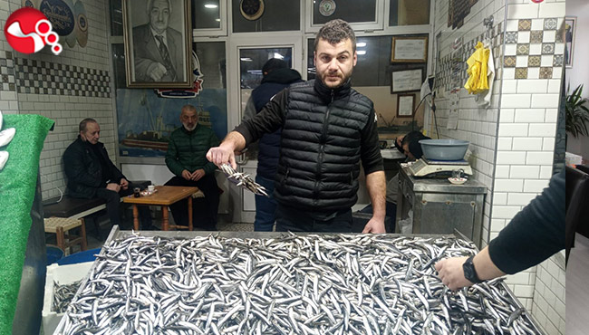 Tezgahlarda hamsi bereketi