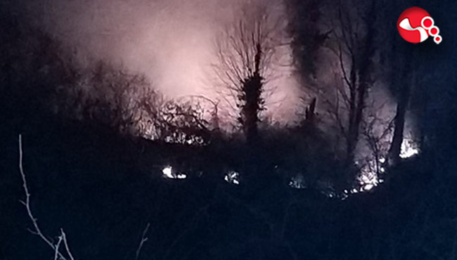 Fındık bahçesinde yangın paniği...