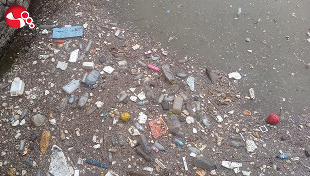 Denizin üstü plastik atıklarla kaplandı