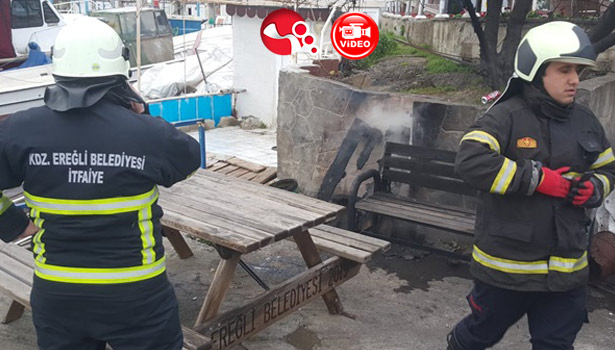 Bak şu işgüzarların işine!!!