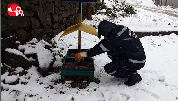 Sokak Hayvanları Unutulmadı