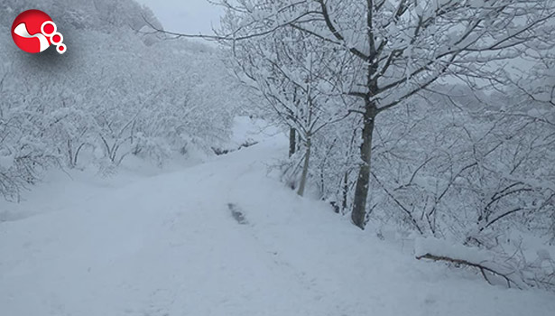 165 köy yolu ulaşıma kapandı