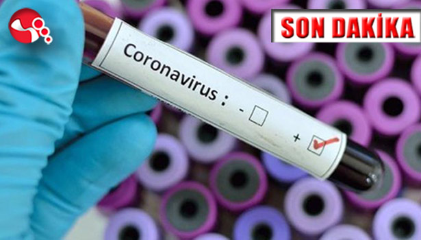 Zonguldak'ta 4 mutasyonlu virüs...