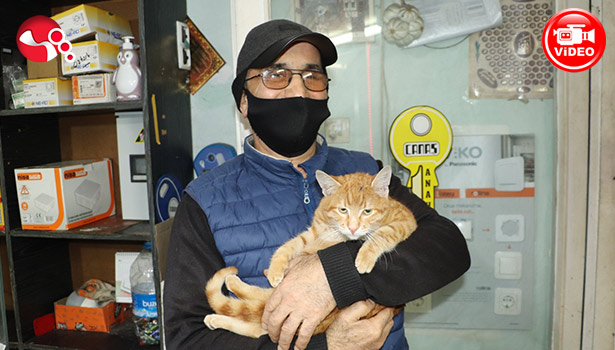 Soğuk havada işyerini kedilere açtı!!!