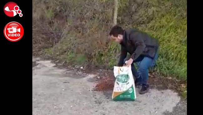 Sokak hayvanlarını unutmadılar