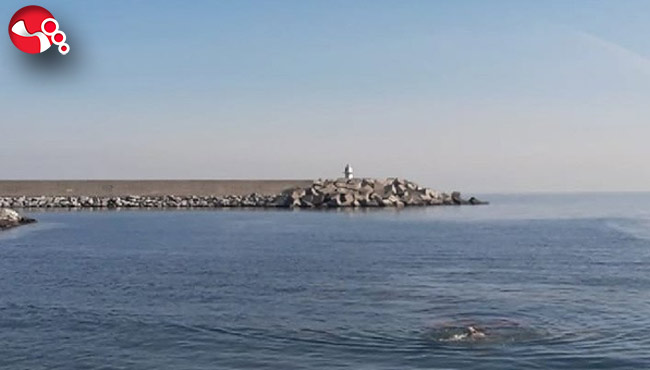 Kış ayında denize girdi