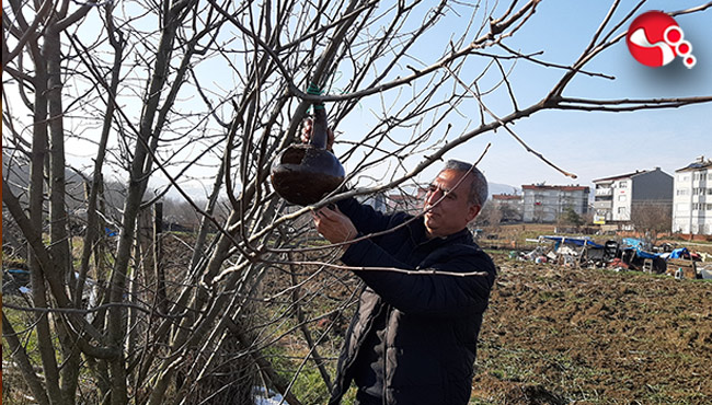 El emeği göz nuru kuş yuvaları...