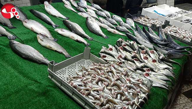 Balıkçıların yüzleri güldü