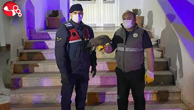 Atmacaya Jandarma eli...