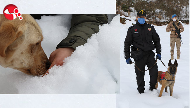 Taç ve Salto’dan Jandarmaya büyük katkı