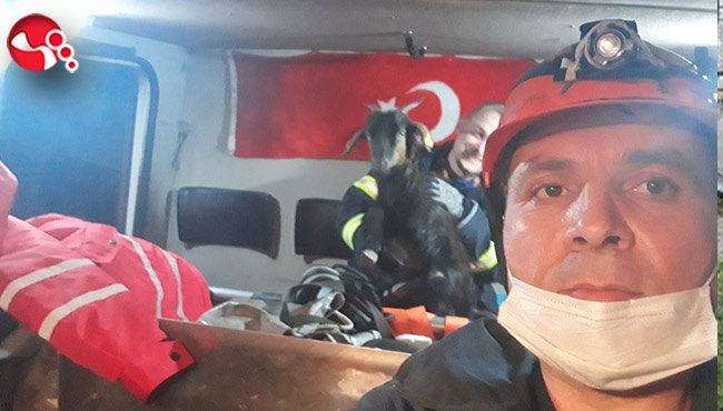 Kayalıklarda mahsur kalınca...