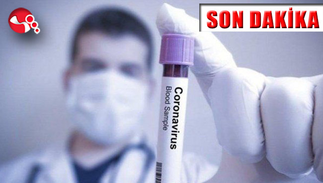 Koronavirüste can kayıpları yükseliyor!!!