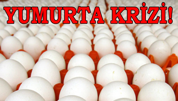 YUMURTA KRİZİ KAPIDA!