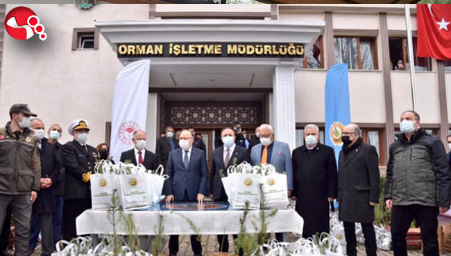 65 bin ceviz, kestane, fıstık çamı fidanı dağıtıldı...