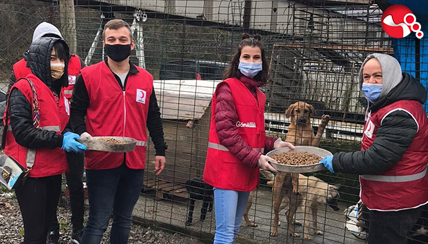 Sokak hayvanlarını unutmadılar