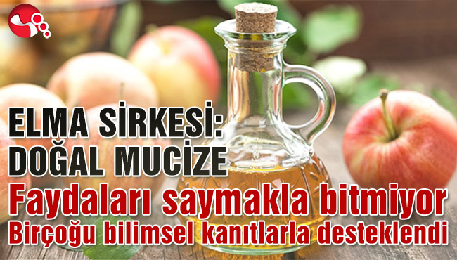 ELMA SİRKESİ: DOĞAL MUCİZE