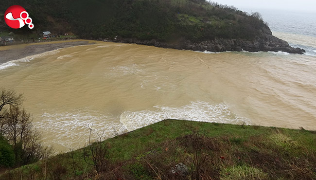 Deniz sarıya boyandı...