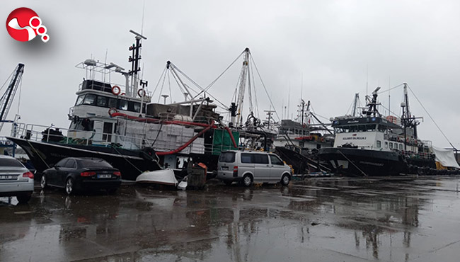 Balıkçılar limana sığındı