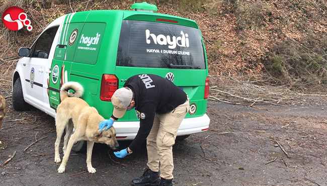 Zonguldak Emniyet'i sokaktaki canları unutmadı