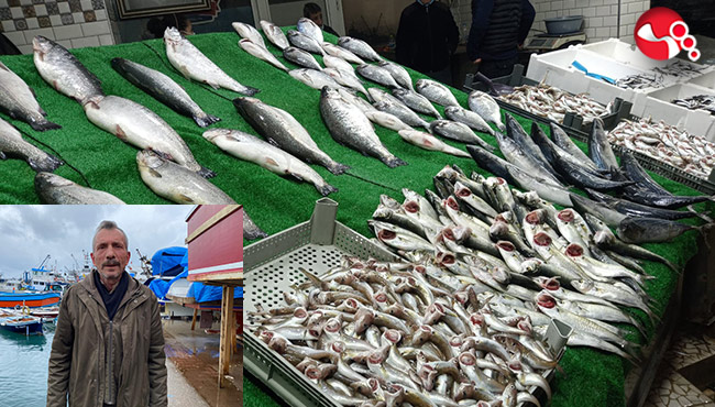 İstavritin 40-50 liraya satıldığını ömrümüzde hiç görmedik"