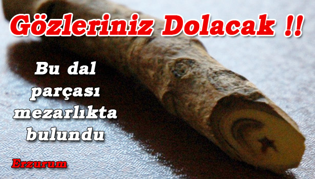 BU AY YILDIZLI 'DAL', ASLINDA ÇOK ŞEY ANLATIYOR