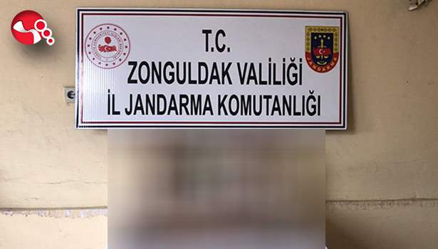 Tekel Fareleri tutuklandı…