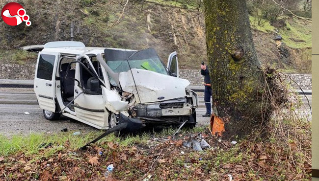 Ağaçlara çarparak durabildi: 1 can kaybı