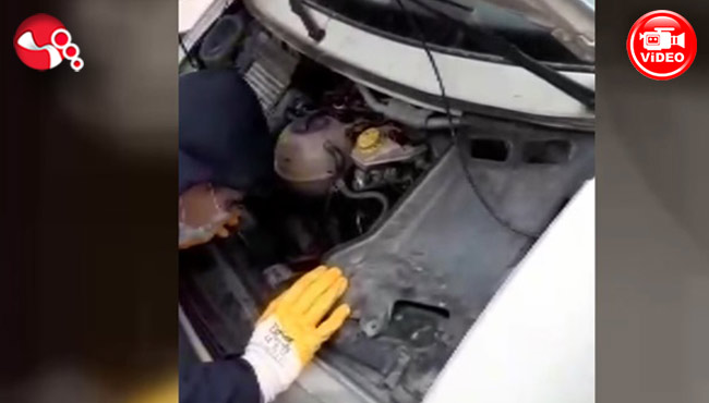 Motora giren kedi nasıl kurtarıldı?