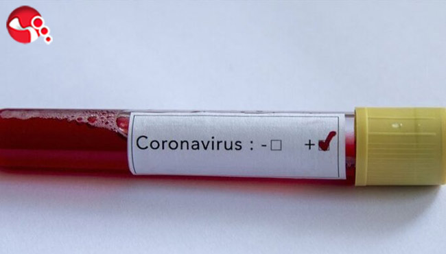 Bir gecede üç can kaybı!..