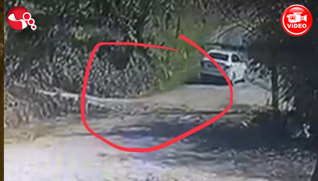 Geldi,Kontrol etti,çaldı gitti!!!İşte o anlar...