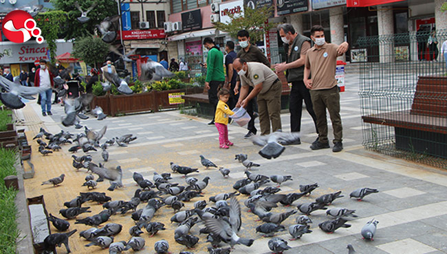Orman Bölge Müdürlüğü Ekipleri kuşları yemledi