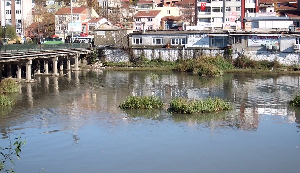 TÜRKYILMAZ'DAN ALAPLI ÇAYI AÇIKLAMASI
