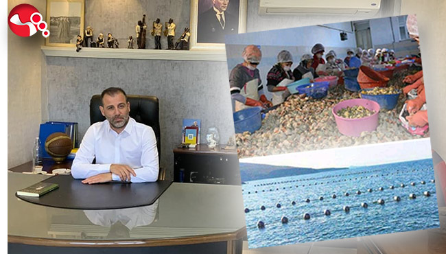 “DENİZ SALYANGOZU İŞLEME TESİSİ VE MİDYE ÇİFTLİĞİ PROJESİ”