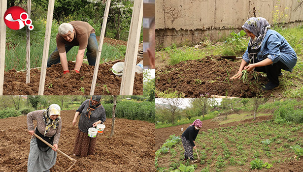 Tam kapanmada aile bütçelerine katkı sağlıyorlar…