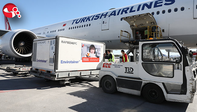 CoronaVac aşısının yeni partisi Türkiye'ye ulaştı