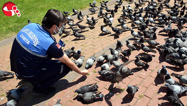 Kendi Elleriyle beslediler…