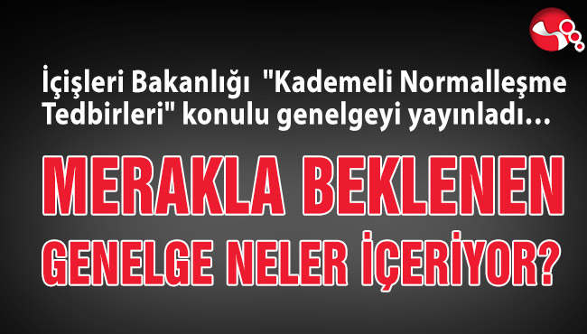 MERAKLA BEKLENEN GENELGE NELER İÇERİYOR?