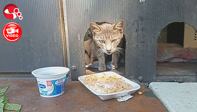 Mahalle sakinlerinden anlamlı çalışma...