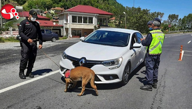 856 şahısa toplam 377.903 TL cezai işlem...