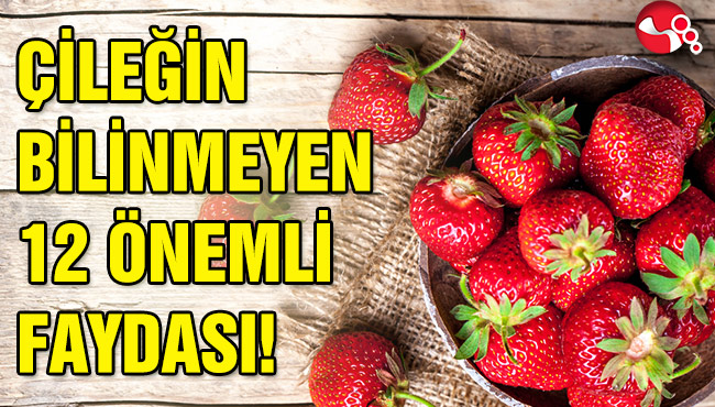 ÇİLEĞİN BİLİNMEYEN 12 ÖNEMLİ FAYDASI!