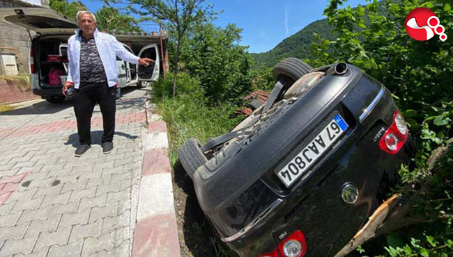 Ağaç dalı hayatlarını kurtardı