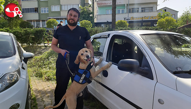 Köpek, mahsur kalan köpeği kurtardı