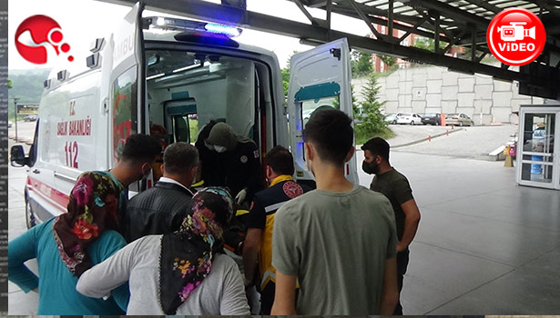 Feci Kaza! Feci Kaza!!!