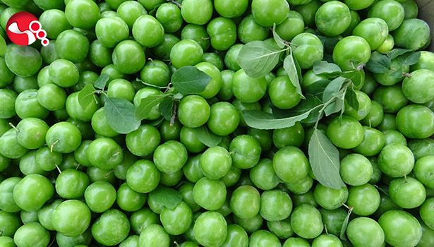 Çiftçinin yüzünü güldürdü...