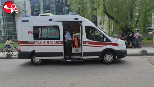 Çocuğun kışkırttığı köpek saldırdı!..