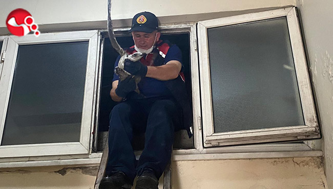 Apartman boşluğuna düşmüştü!..