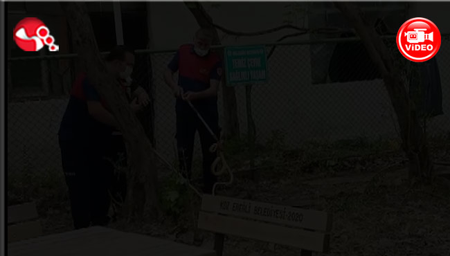 Sevgi Barış Dostluk Mesire Alanında yakalandı!..