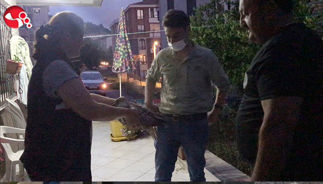 Yaralı martı tedavi altına alındı