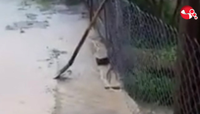 Bahçe ve seralar selden zarar gördü